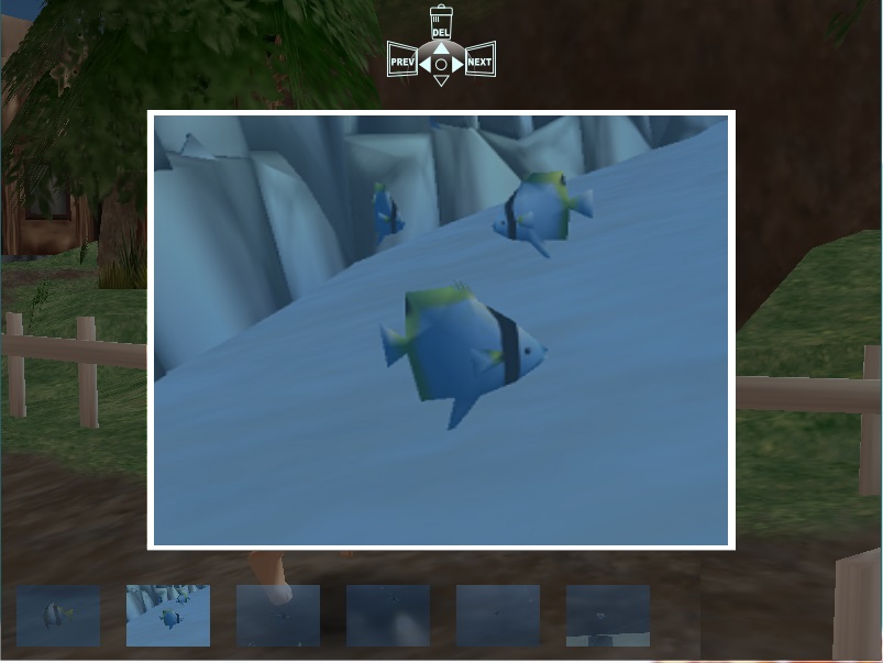 In-Game Photo of Fish Swimming