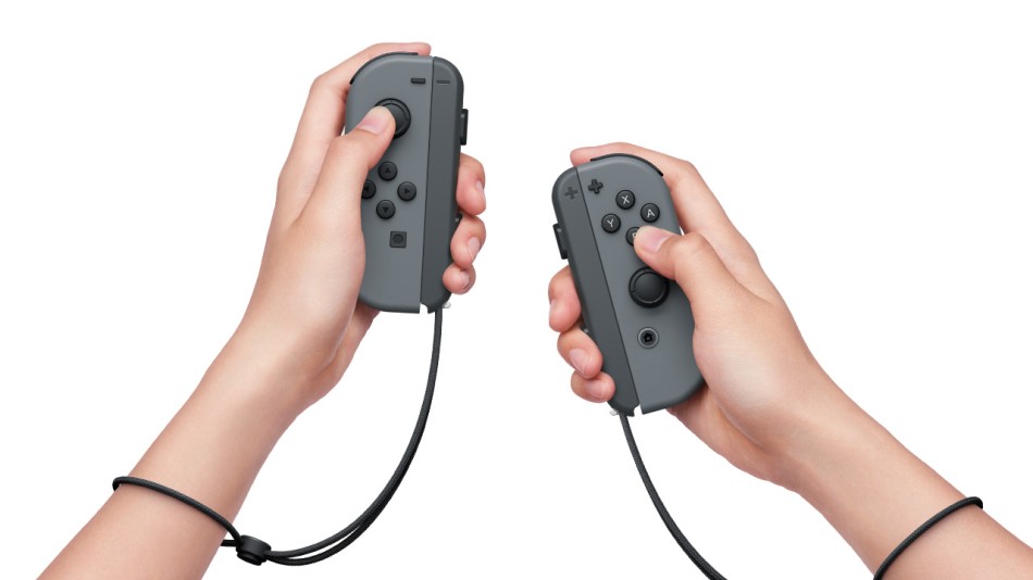 Two Joy Con Controllers